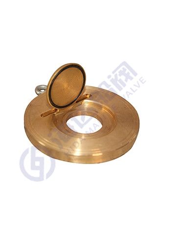 Plate type check valve
