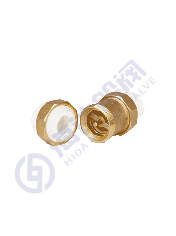 Vertical check valve