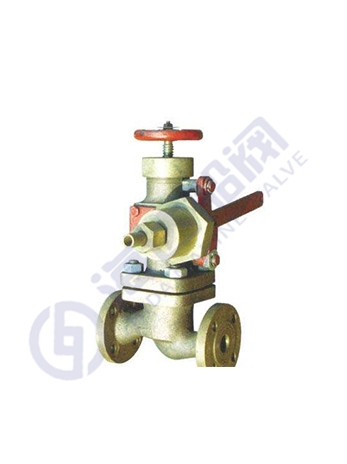 Pneumatic quick closing valve