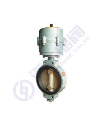 JIS day standard pneumatic butterfly valve
