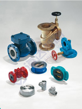 Weatherproof flap  check valves
