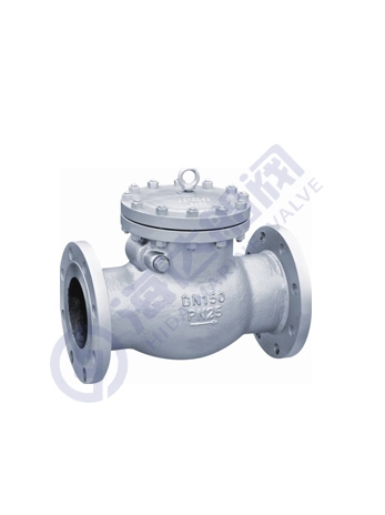 Swing check valve