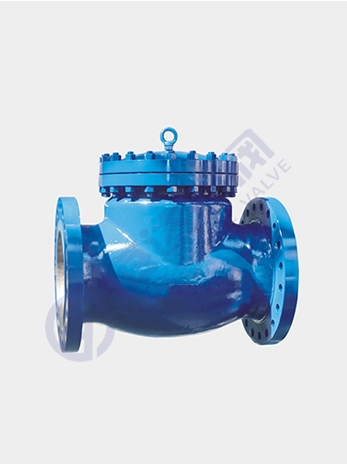 American standard check valve